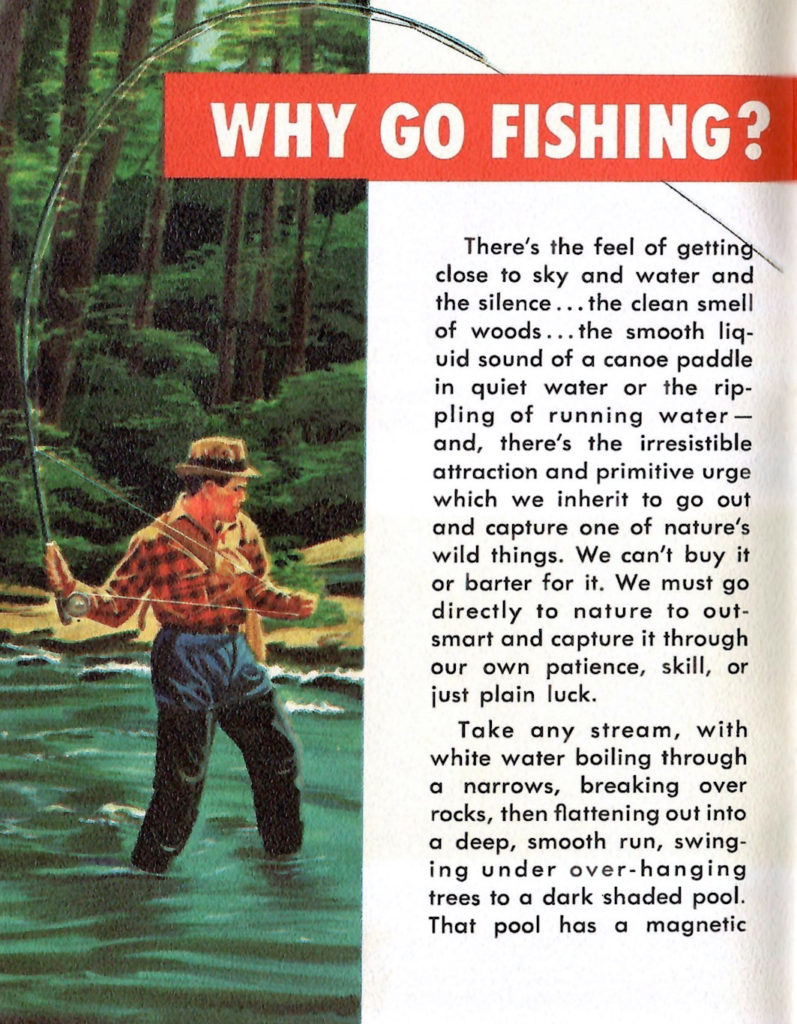 Why go fishing? This page list a lot of reasons why you should partake in fishing fun.