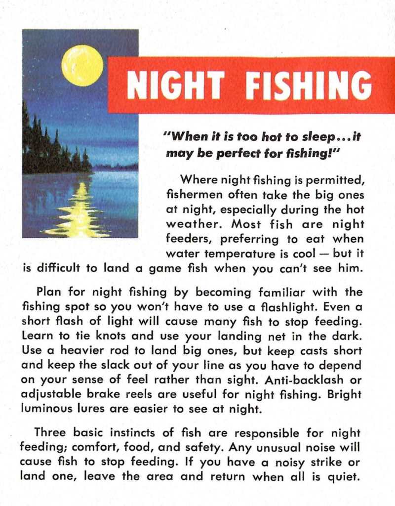 Details about night fishing fun.