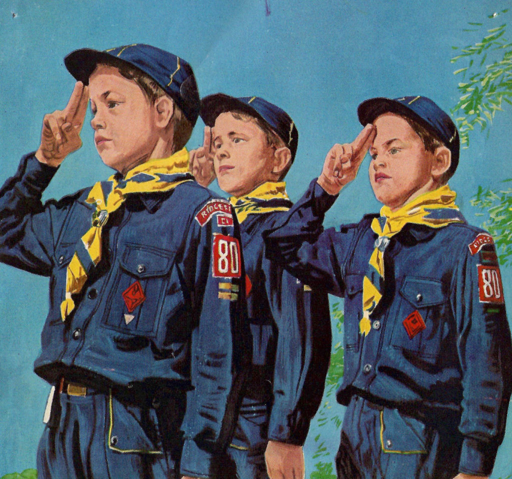 Boy scouts salute the flag.