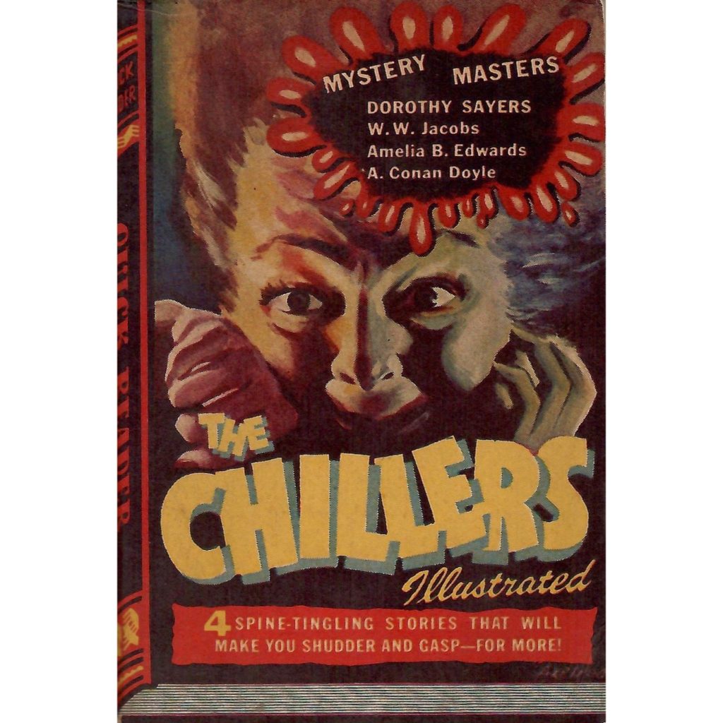 Front cover of a quick reader book called Chillers.