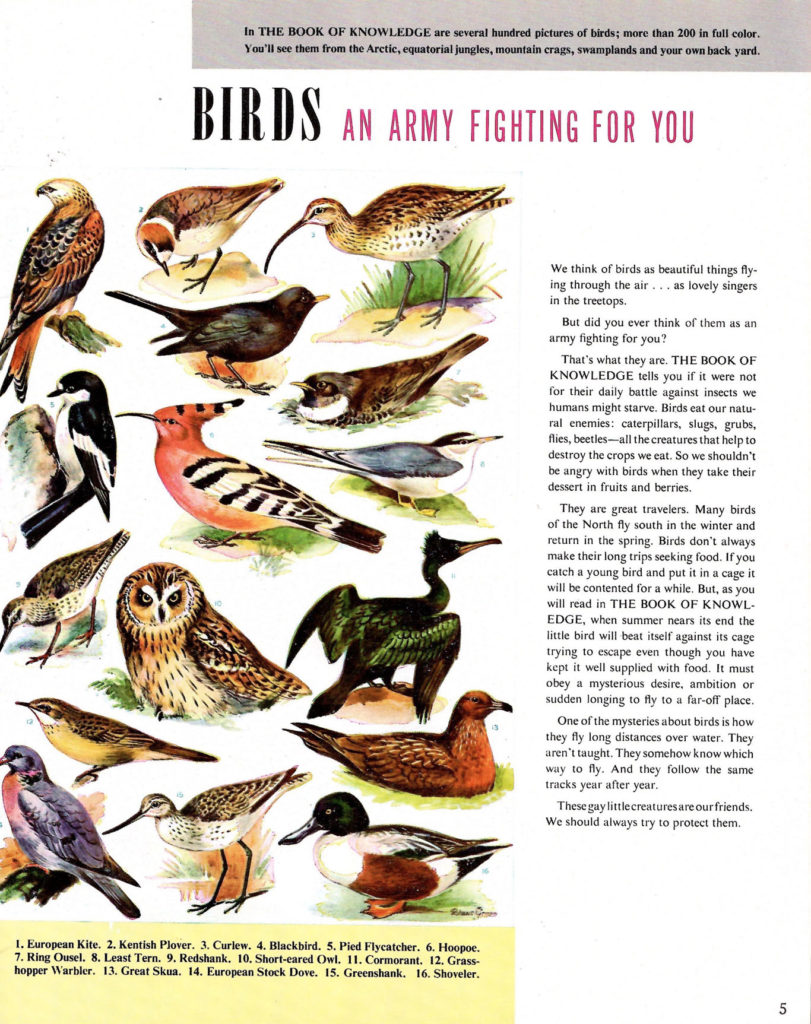Bird Army. Article in the Book of Knowledge Encyclopedia Promotional Booklet.