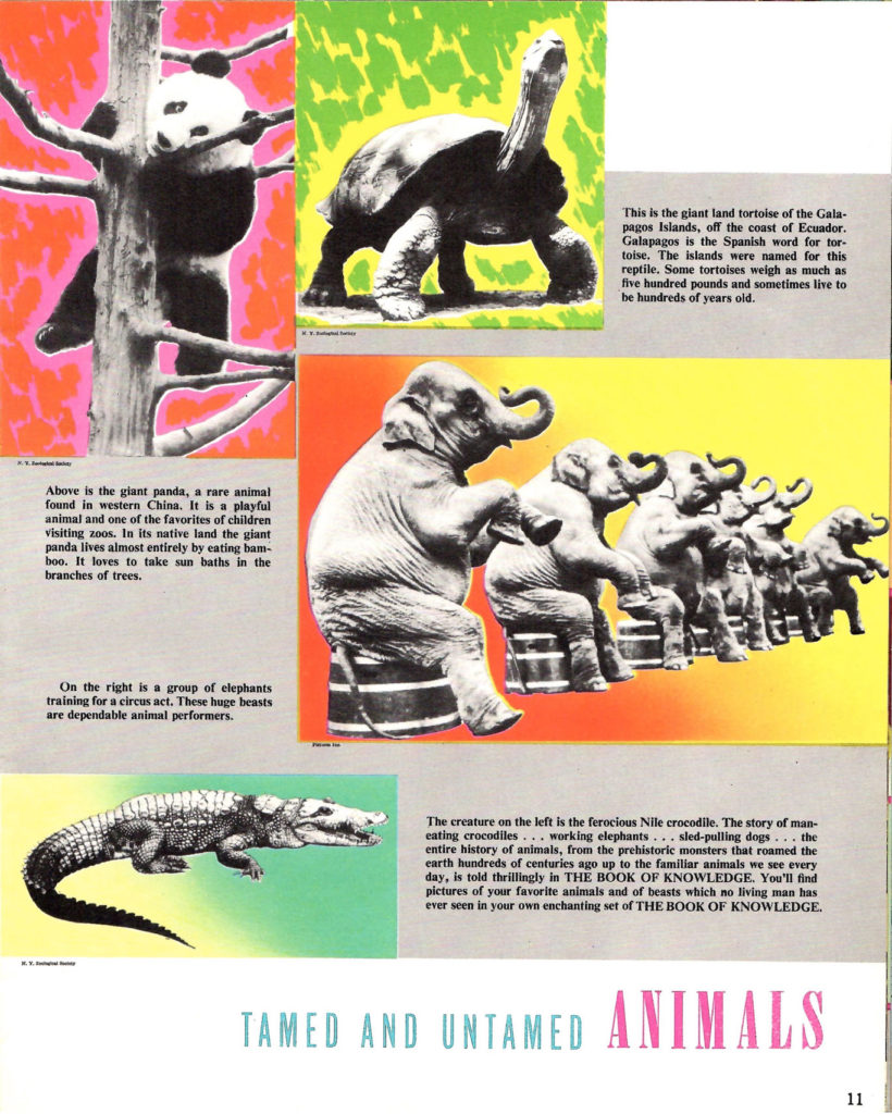 Animals. An article in the Book of Knowledge Encyclopedia Promotional Booklet.